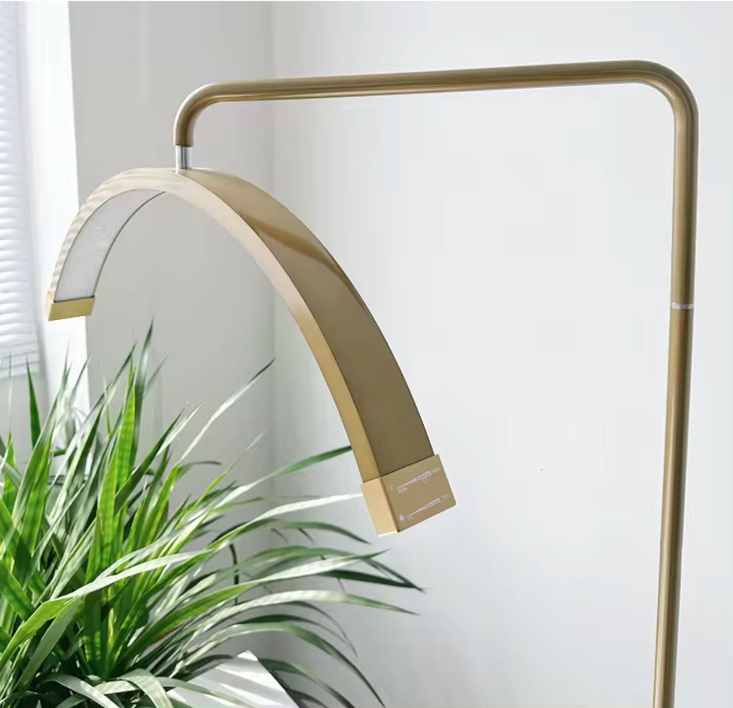 Beauty Moon Light - Gold